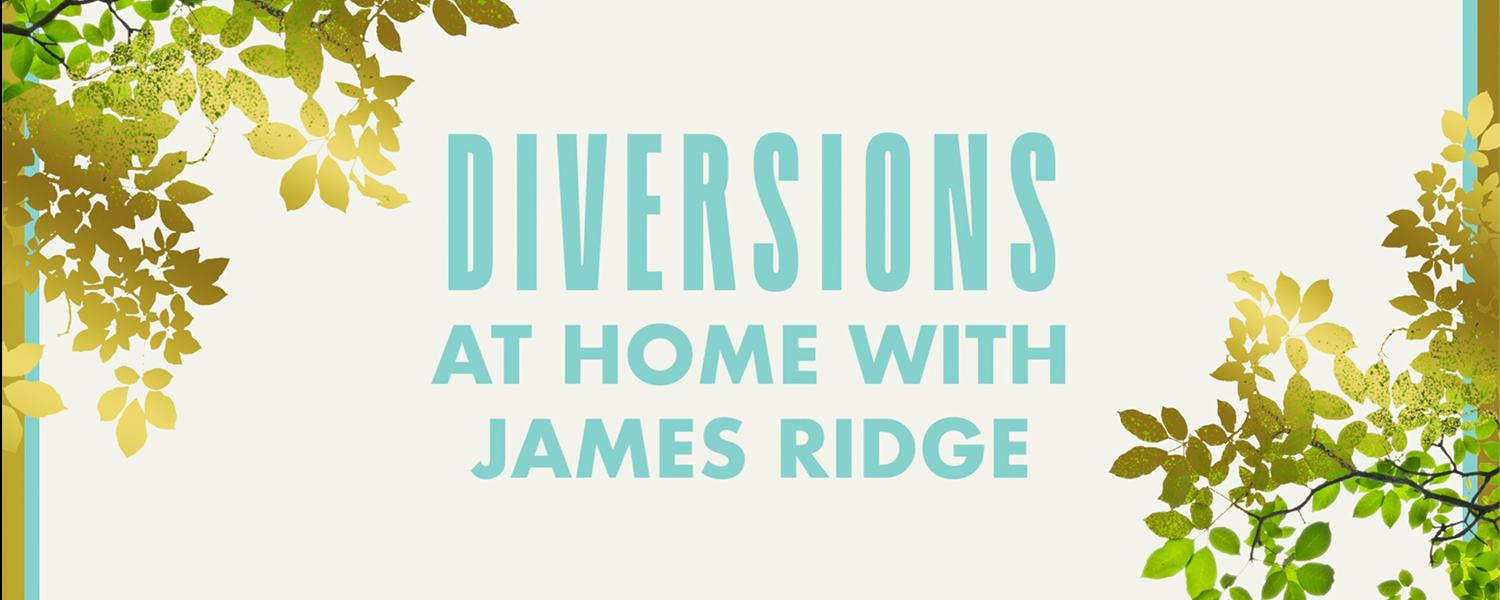 Artist At Home Ridge