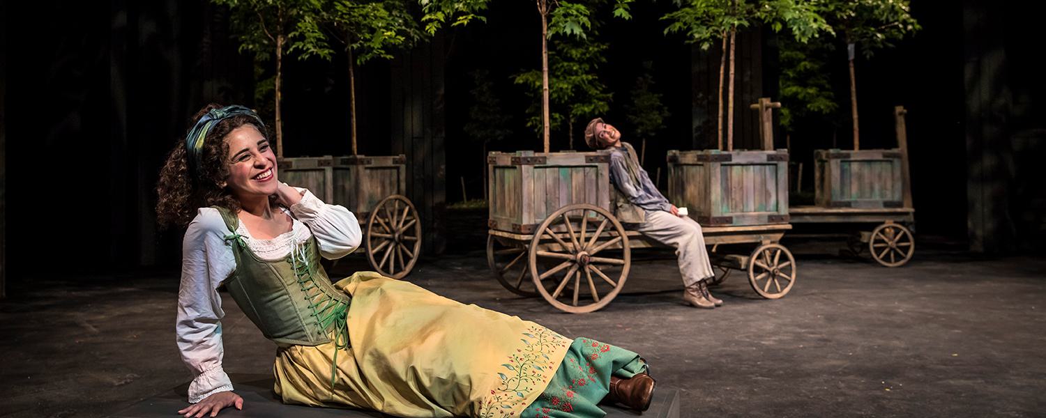 As You Like It Banner Three