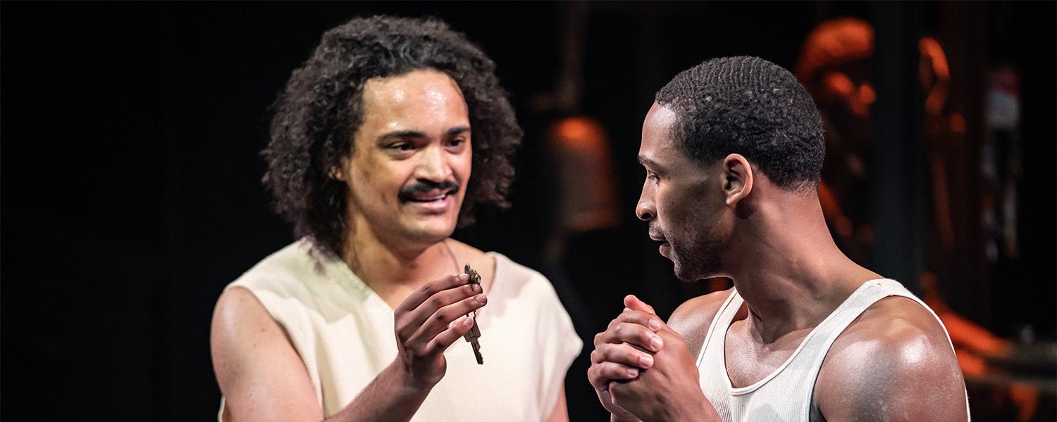 Brothers Size PTP pic