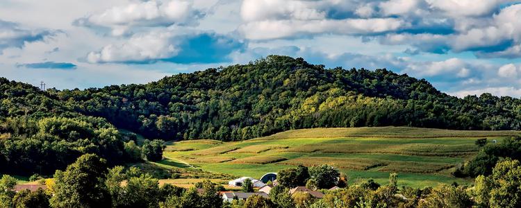 Through the Driftless