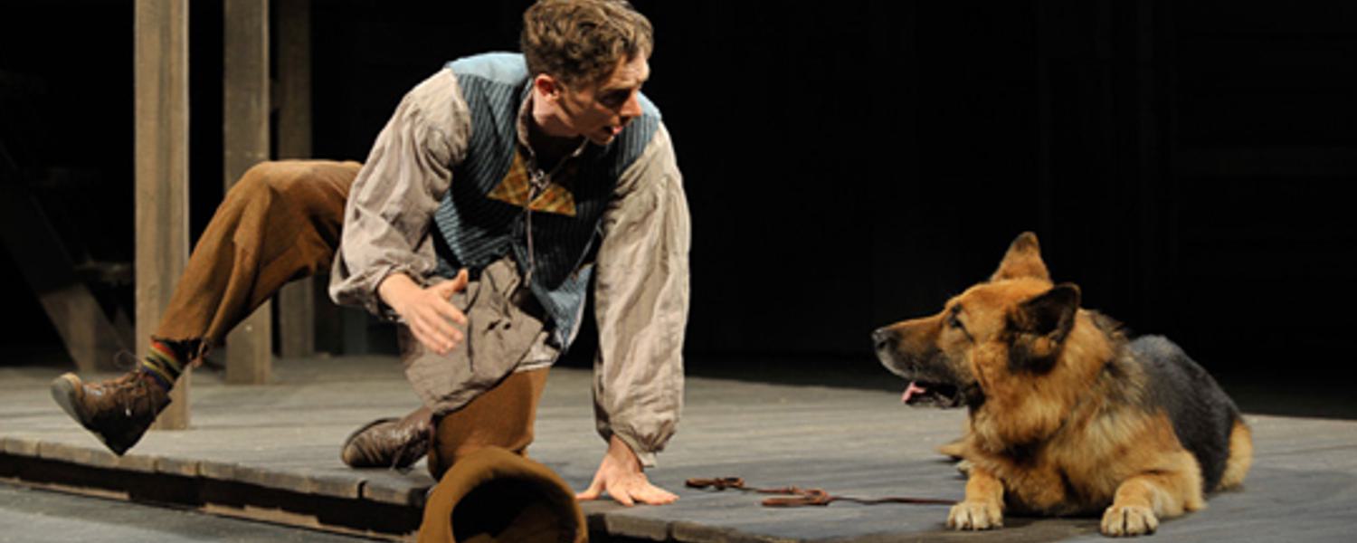 Tim The  Dog  Image  Gallery