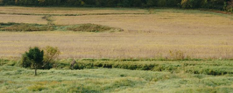 For an Unconventional Fall Adventure, Head to This Quirky Corner of Wisconsin