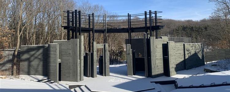 The Road Back: The Woods in Winter