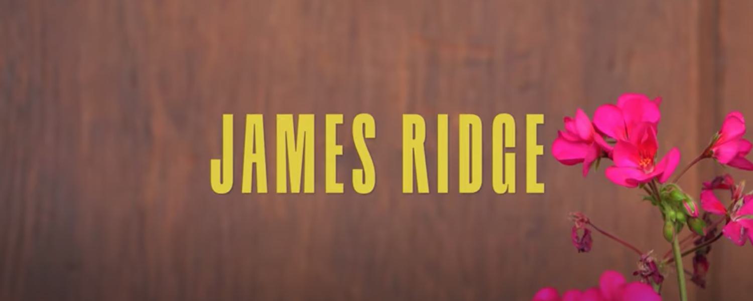 Six Feet Ridge Website